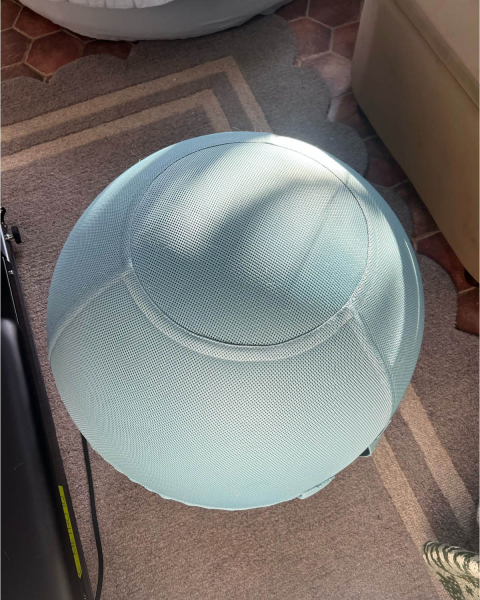 Bala Balance Ball in home